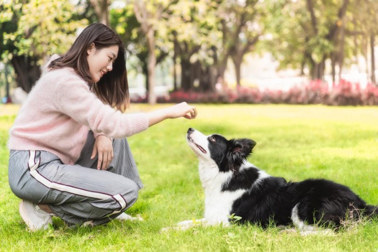 女生被救后狗狗不停安慰，网友：你走了，它怎么办？