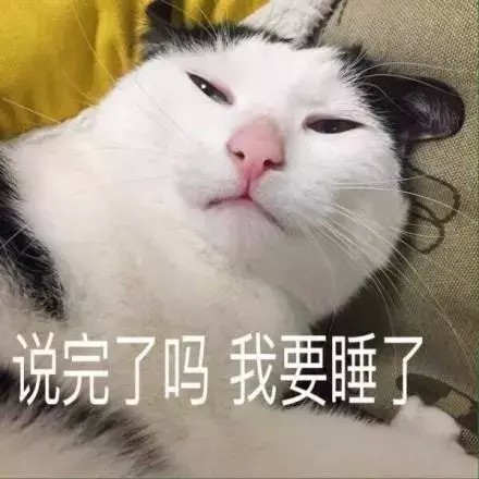 养猫之后，我在家里的地位越来越低了