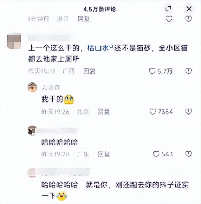 小伙子批了1吨小石头做40平枯山水，喊着方圆10公里的猫：都来我家拉屎