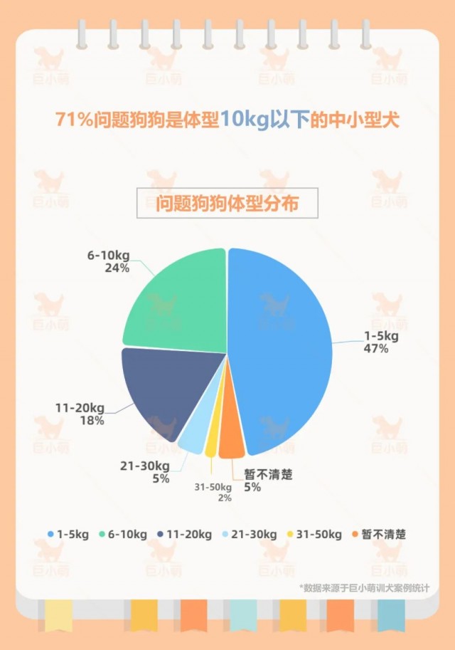 《2020年度宠物犬行为白皮书》：8种热门狗狗常见坏习惯解析